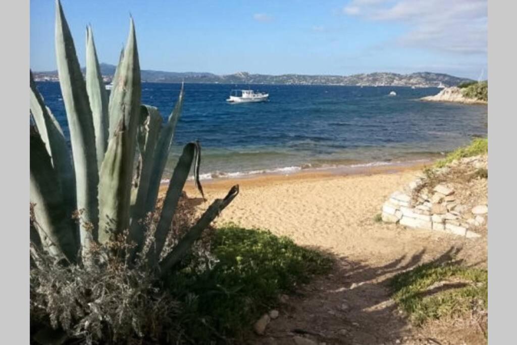马达莱纳Casa Maddalenina Con Giardino, Vicino Al Mare!公寓 外观 照片